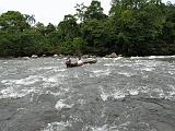 ECUADOR - Foresta Amazzonica - 36